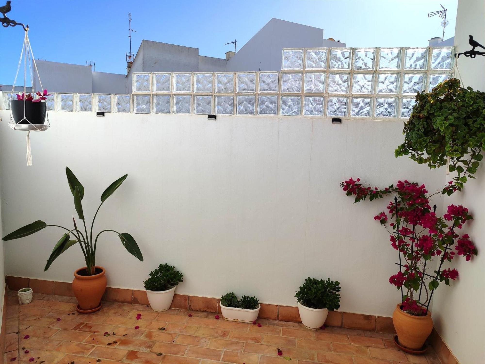 Casa Retinto Βίλα Vejer de la Frontera Εξωτερικό φωτογραφία